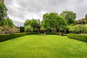 Tuinonderhoud Haarlem