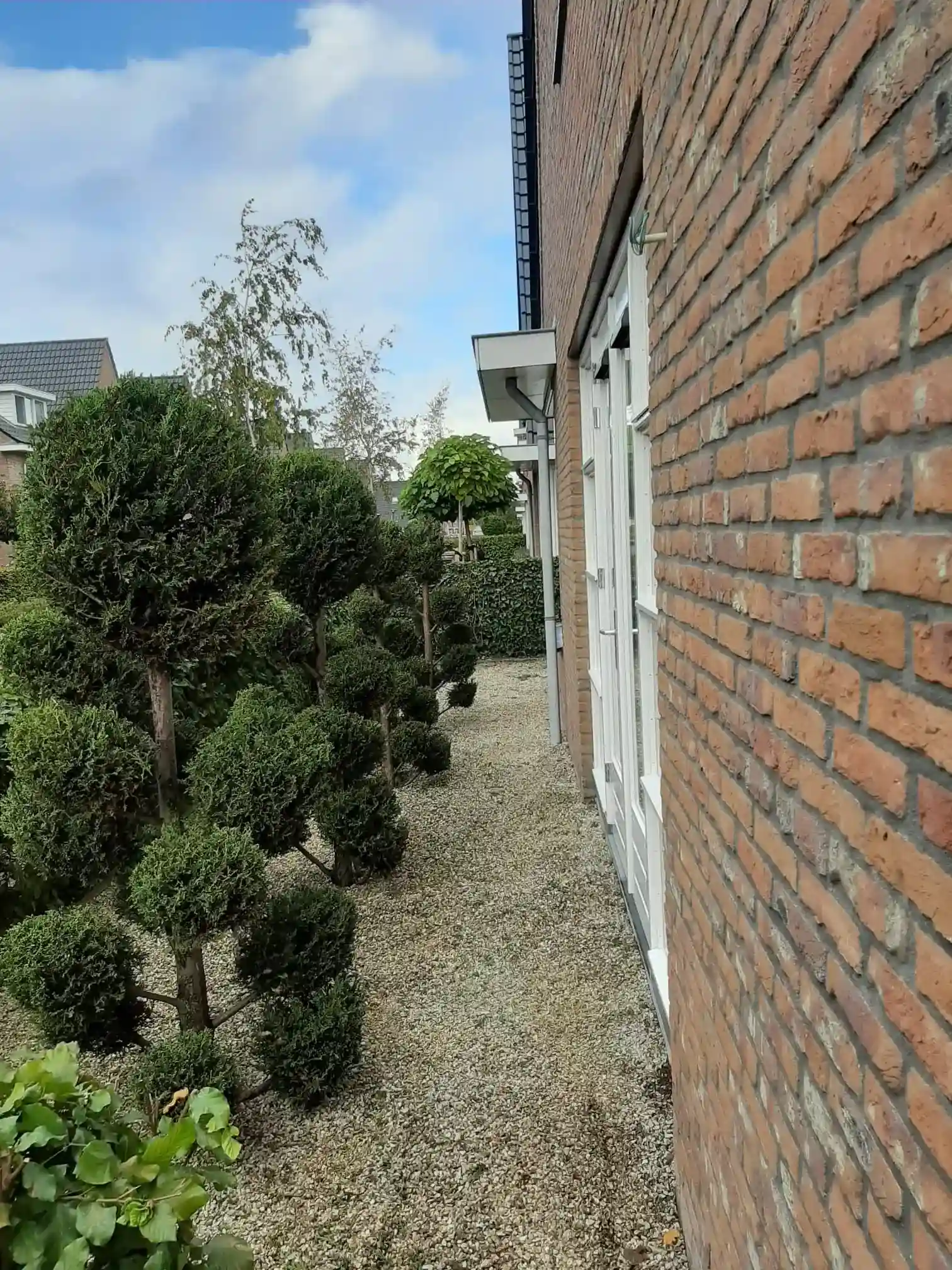 Gespecialiseerd in duurzaam tuinonderhoud voor een groene oase in uw eigen achtertuin.