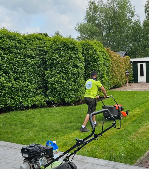 Creëer natuurlijke harmonie in uw buitenruimte met onze tuinaanleg in Haarlem.